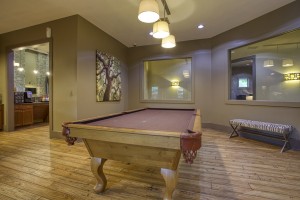 1 Bedroom Apartments in San Antonio, TX - Pool Table 